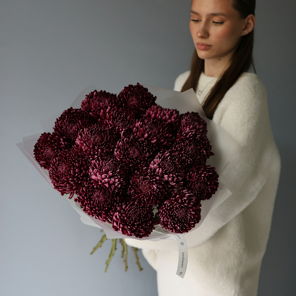 “Violet Chrysanthemum”