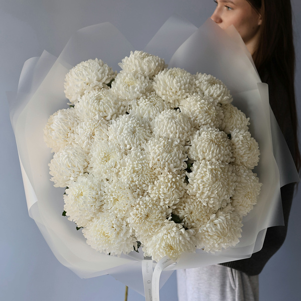 “Large white Chrysanthemum”