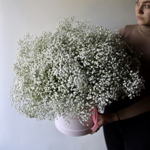 Baby's Breath in a hat box - Размер M 