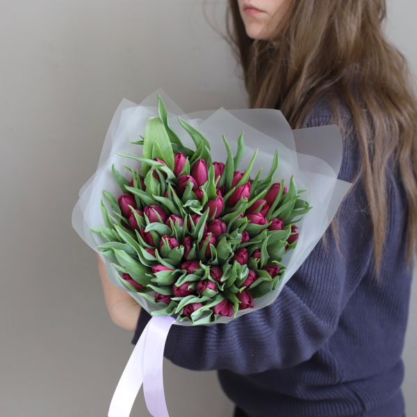 Purple Tulips - 49 тюльпанов