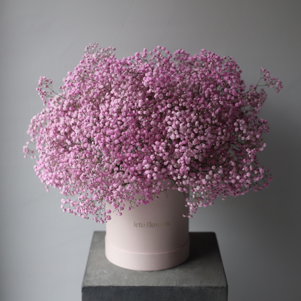 Colored Baby's Breath in a hat box -  Размер M 