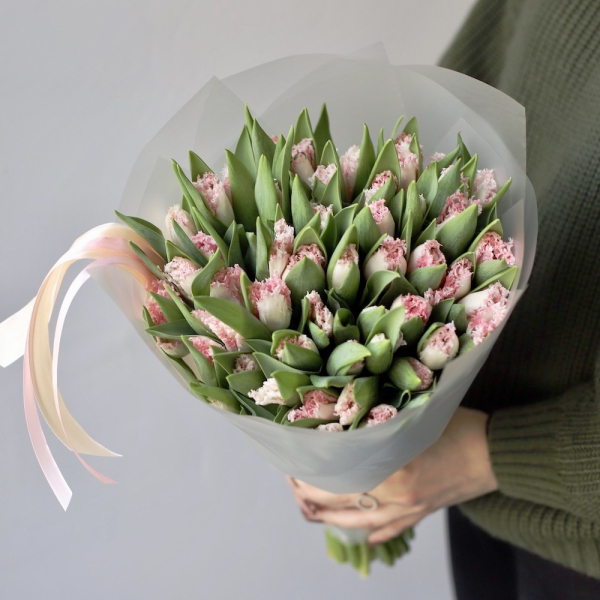 Fringe Tulips -  49 тюльпанов 