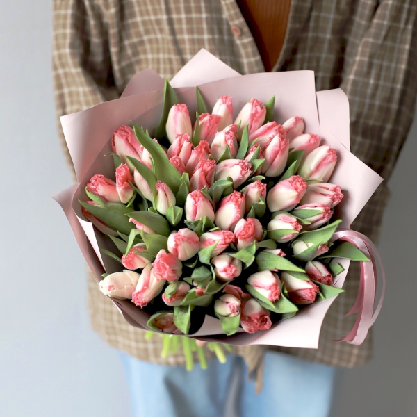Fringe Tulips - 49 тюльпанов