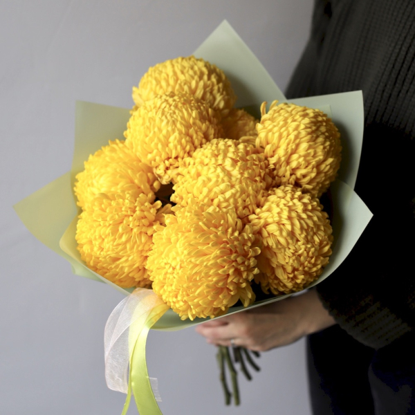 Large yellow Chrysanthemum - 9 хризантем