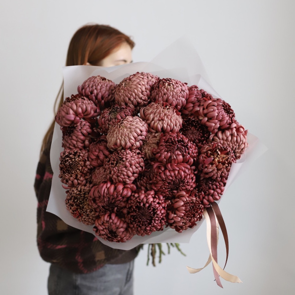 “Chocolate Chrysanthemum”