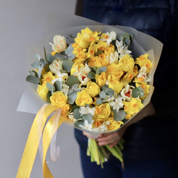 Mix of different Daffodils - 49 нарциссов 