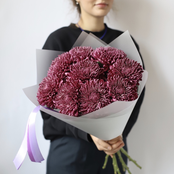 Violet Chrysanthemum - 9 хризантем