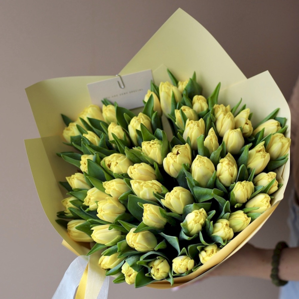 Yellow Tulips - 49 тюльпанов