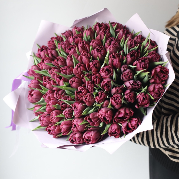 Purple Tulips - 75 тюльпанов