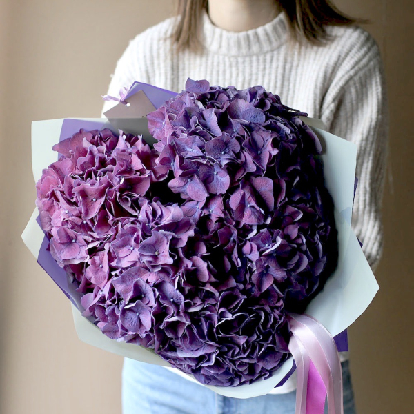 Purple Hydrangea - 5 гортензий